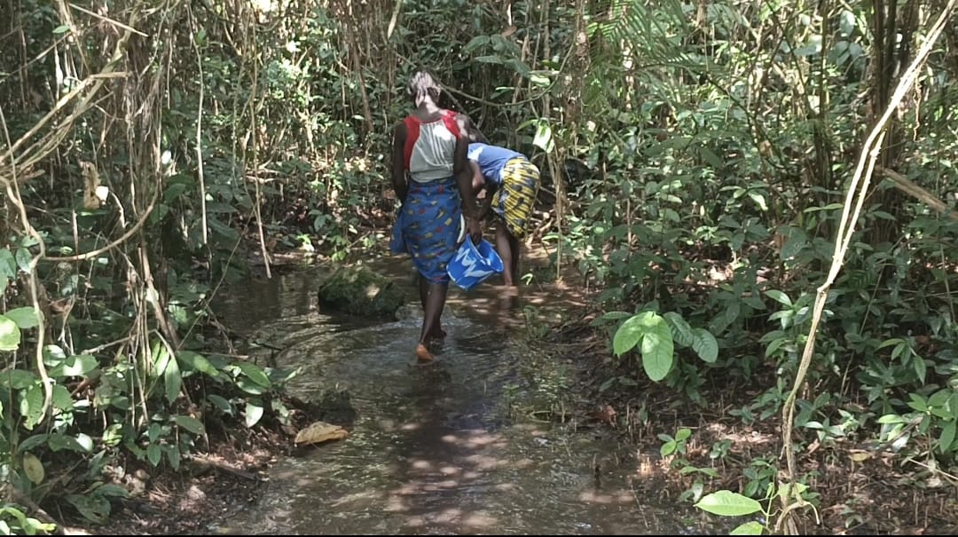 Home whatsapp image 2025 12 18 at 9.39.33 pm