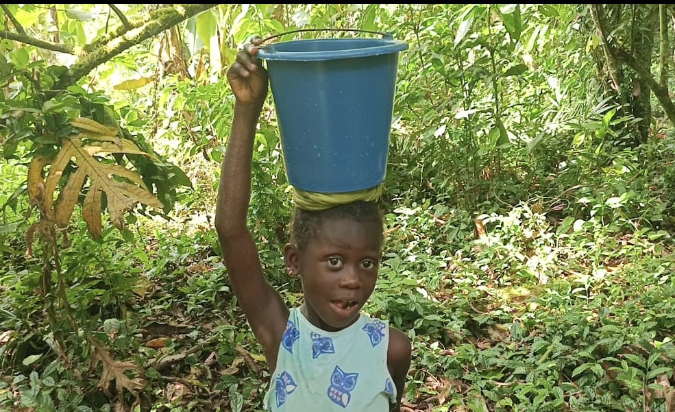 Home whatsapp image 2025 12 18 at 9.39.37 pm (2)