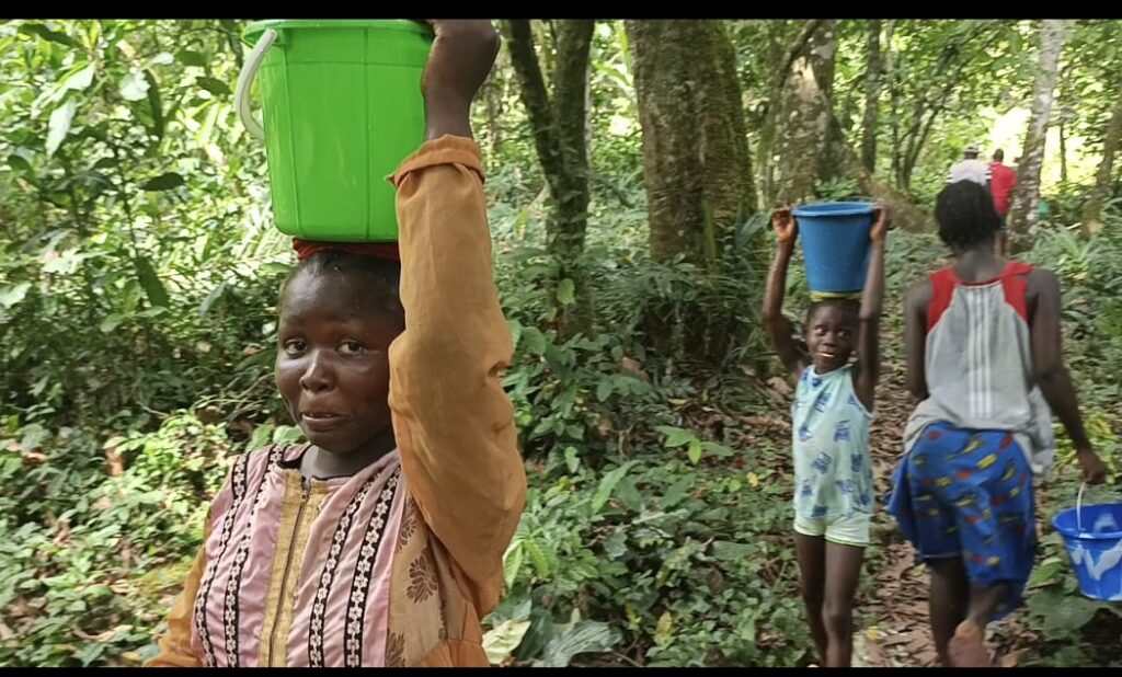 whatsapp image 2025 12 18 at 9.39.41 pm (1)