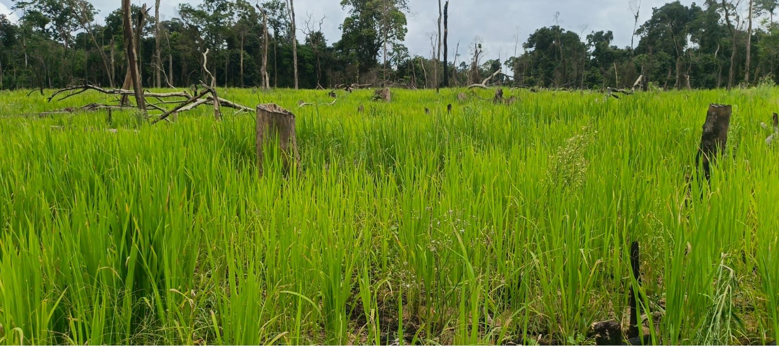 whatsapp image 2026 01 05 at 4.37.49 am